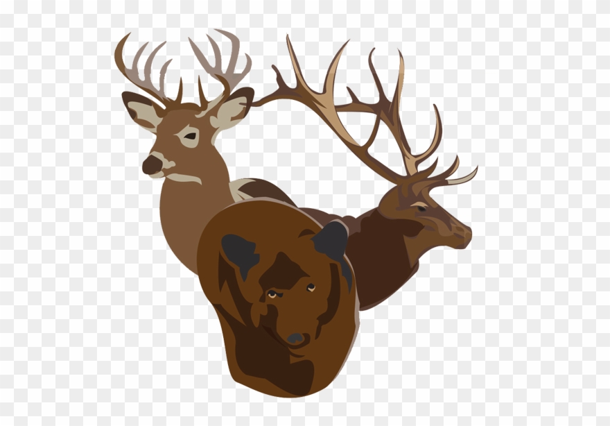 Bucks Bulls Bears - Elk Clipart