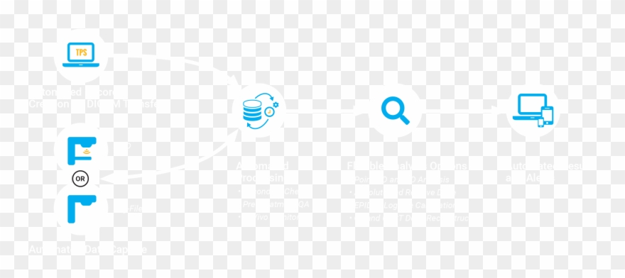 Snc Patient Graphic - Circle Clipart