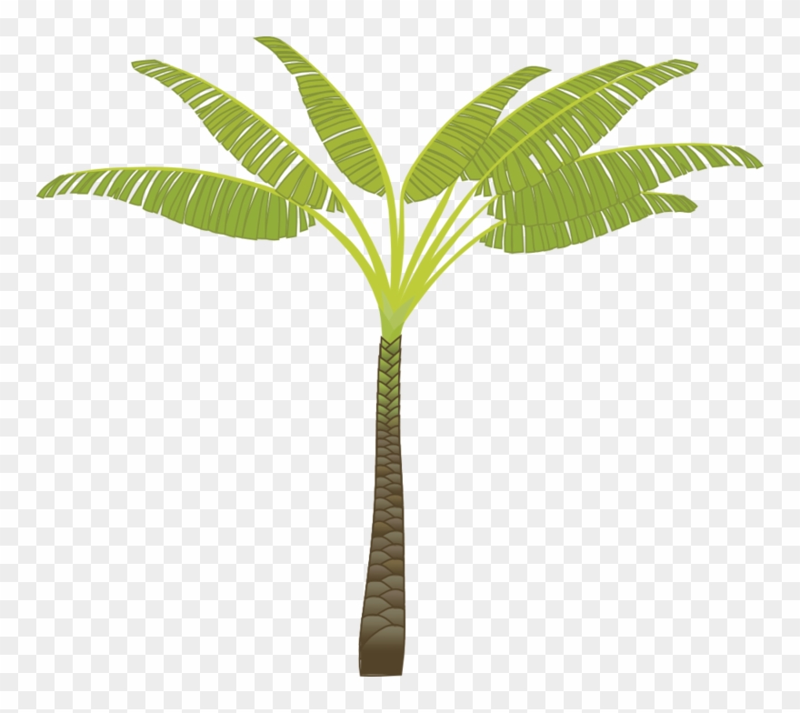 Palm Tree Png, Download Png Image With Transparent - T Shaped Palm Tree Clipart