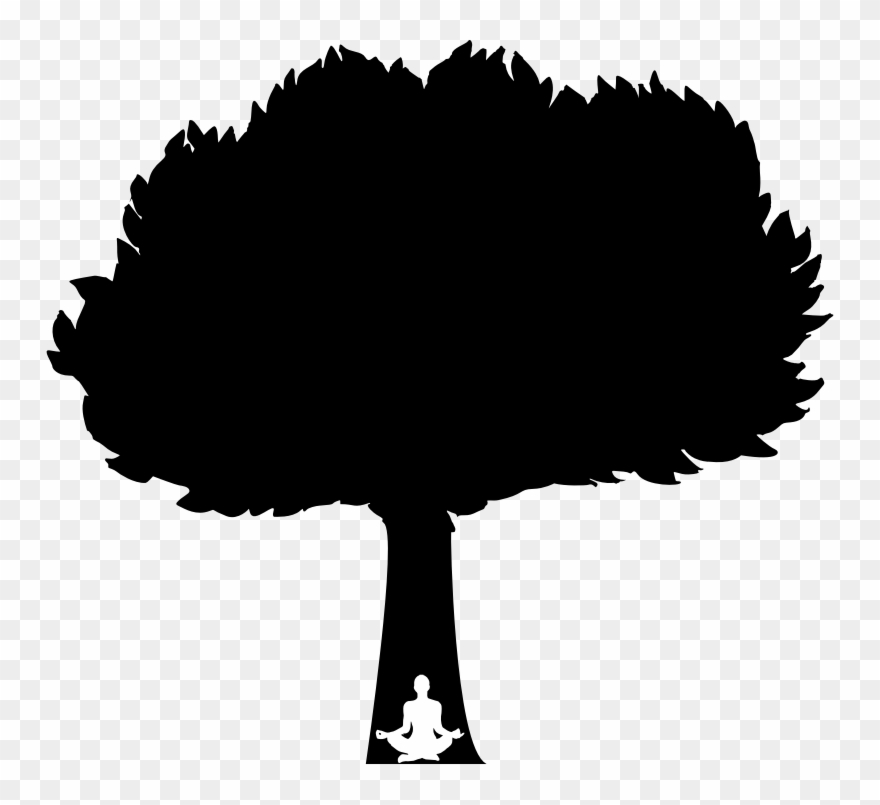 Medium Image - Tree Silhouette Clipart - Png Download