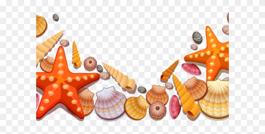 Beach Clipart Seashell - Transparent Shells Png
