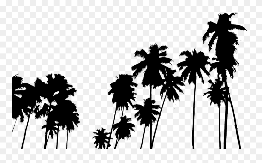 Palm Tree Clipart Panda - Palm Trees Overlay Png Transparent Png