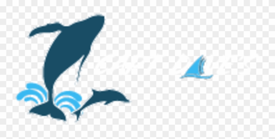 Captain Dave's Dolphin And Whale Safari Logo Clipart