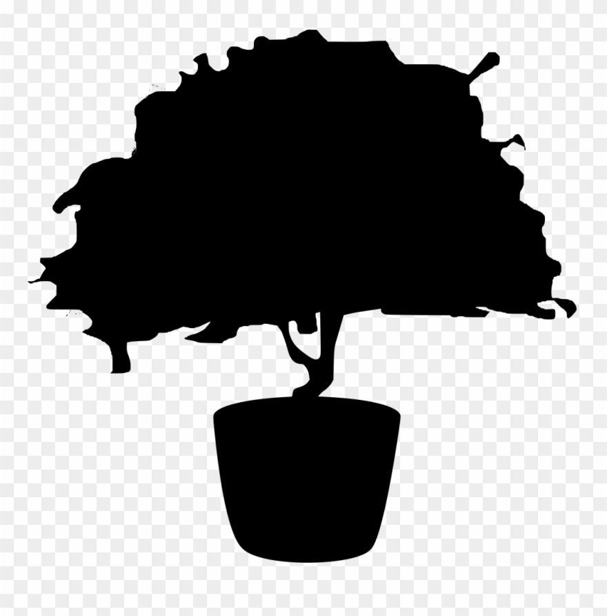 Download Png - Bonsai Clipart