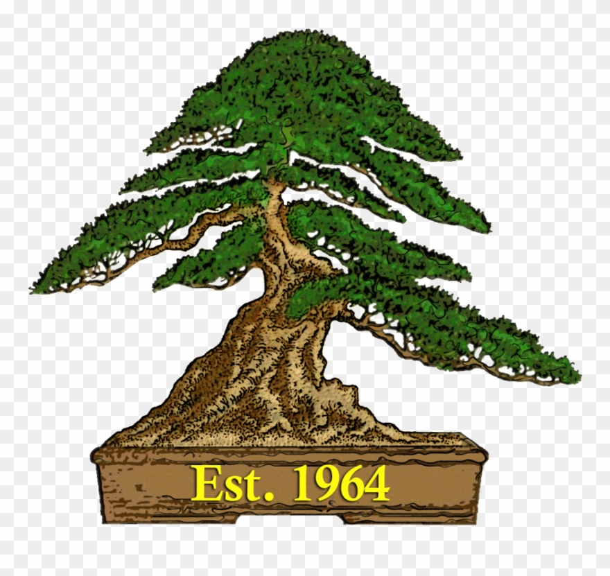 Autumn South Australian Society Sa Newsletter - Bonsai Exhibition 2018 Japan Clipart