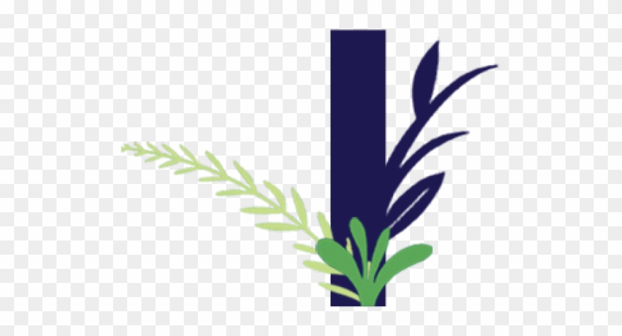 Sea Grass Clipart Damo - Png Download