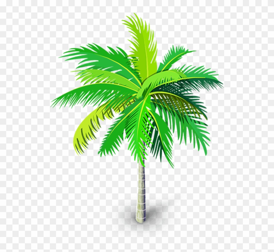 Tree Clipart Png - Palm Tree Vector Png Transparent Background