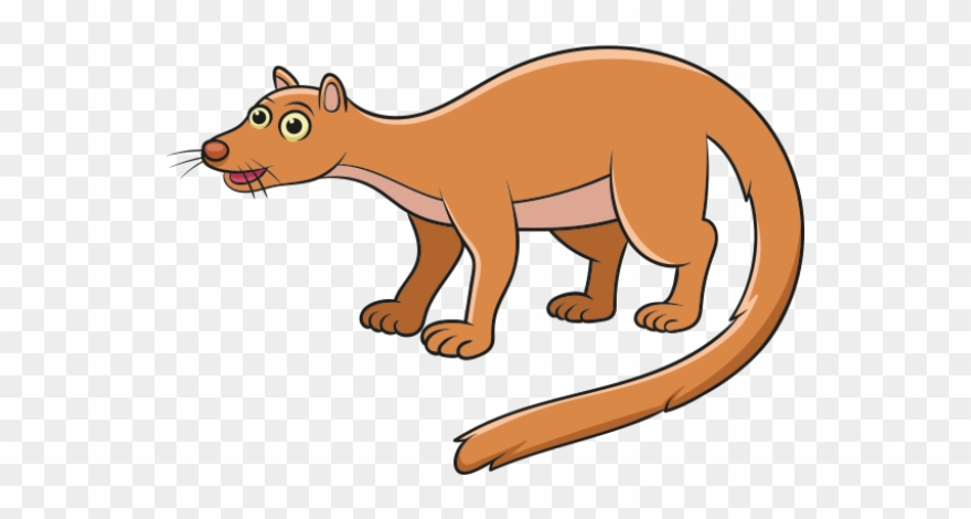 Cougar Clipart Fossa - Fossa Clipart - Png Download