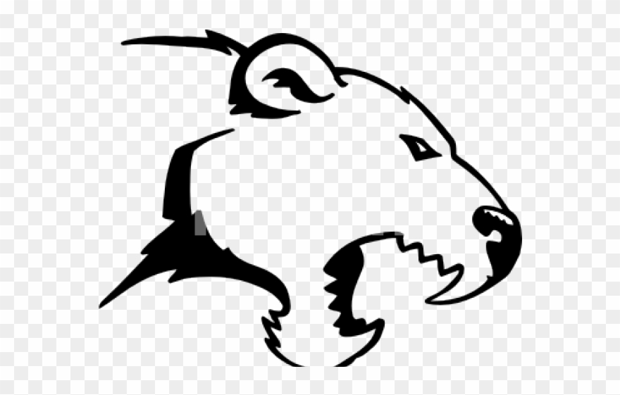 Cougar Clipart Simple - Bear Head Side View Drawing - Png Download