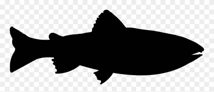 981 X 382 1 - Trout Clip Art - Png Download