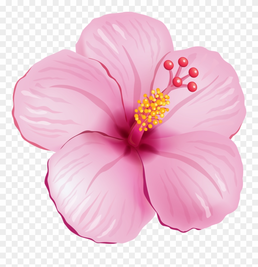 Tropical Flower Clipart - Tropical Pink Flower Png Transparent Png