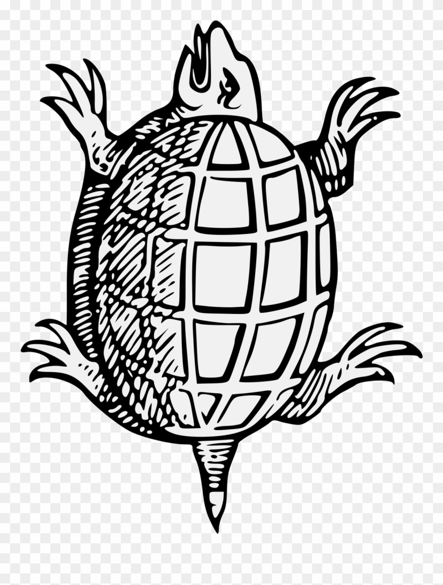 Turtle Png Heraldic , Png Download - Turtle Heraldry Clipart