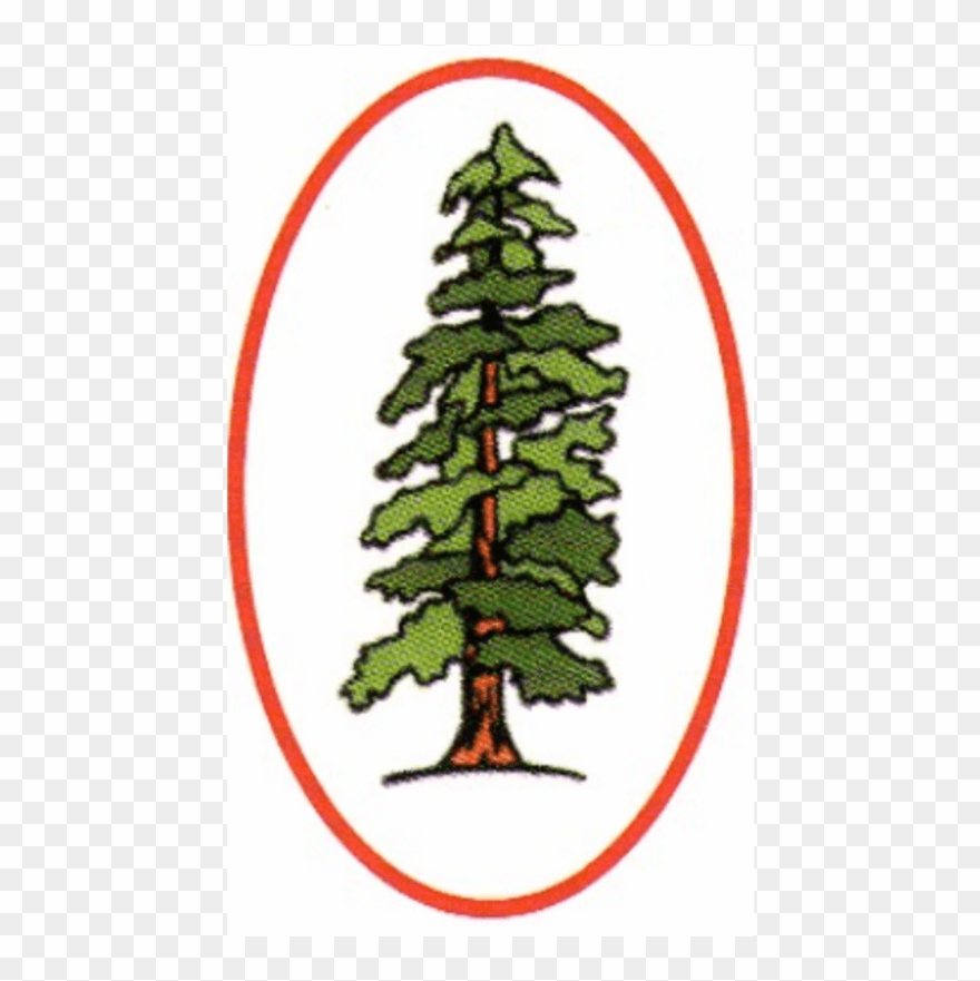 Christmas Tree Clipart