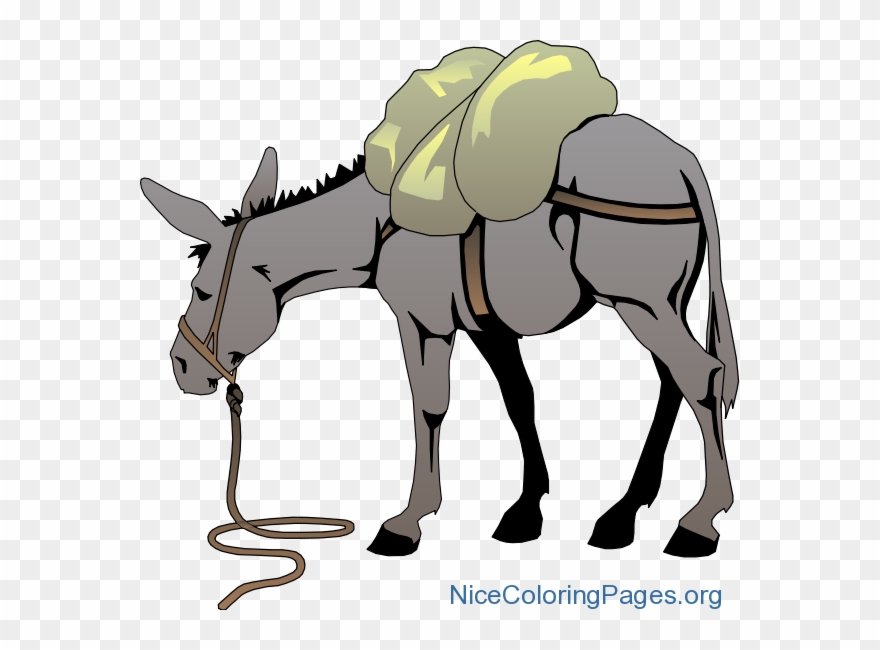 Download Free Printable "donkey Clipart Png" Template Transparent Png