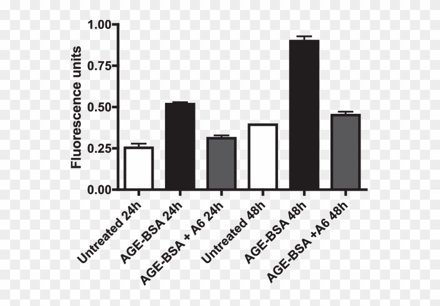 Age Stimulation Increases Endothelial Cell Monolayer - Bacteria Culture Serine Addition Suggestion Clipart