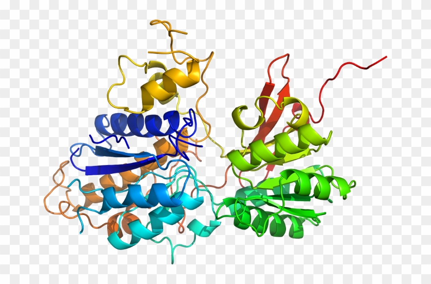 View In 3d - Cytochrome P450 1a2 Clipart