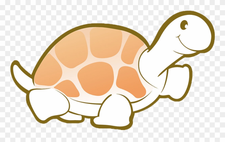 Tortoise, Turtle, Clip Art, Tortoise Turtle, Tortoise - 烏龜 矢量 - Png Download