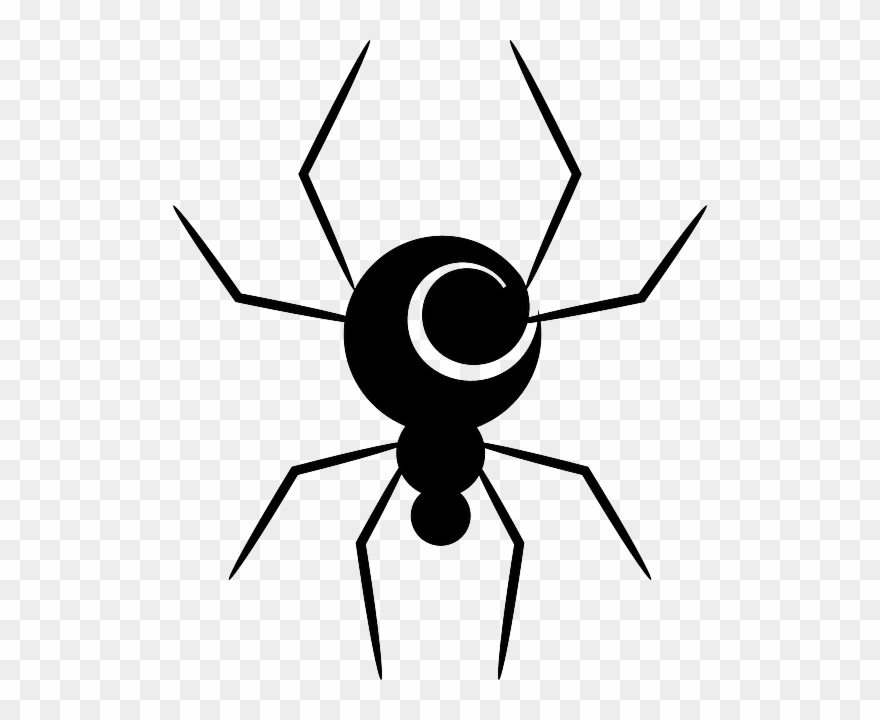 534 X 640 5 - Spider Vector Png Clipart