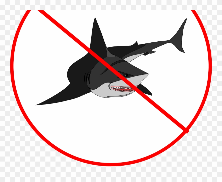 Download Marlin Clipart (#3379239) - PinClipart