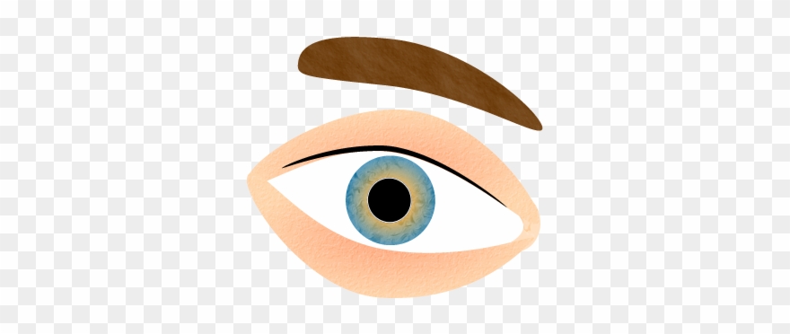 Human Eye Clipart