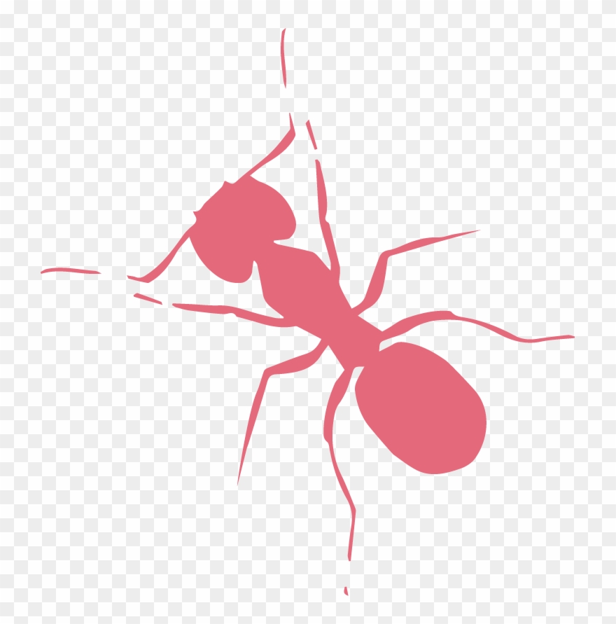 Get In Touch - Carpenter Ant Clipart
