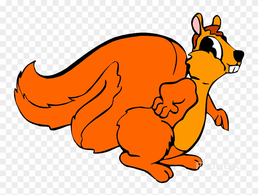 Squirrel - Gold Fish Clip Art - Png Download