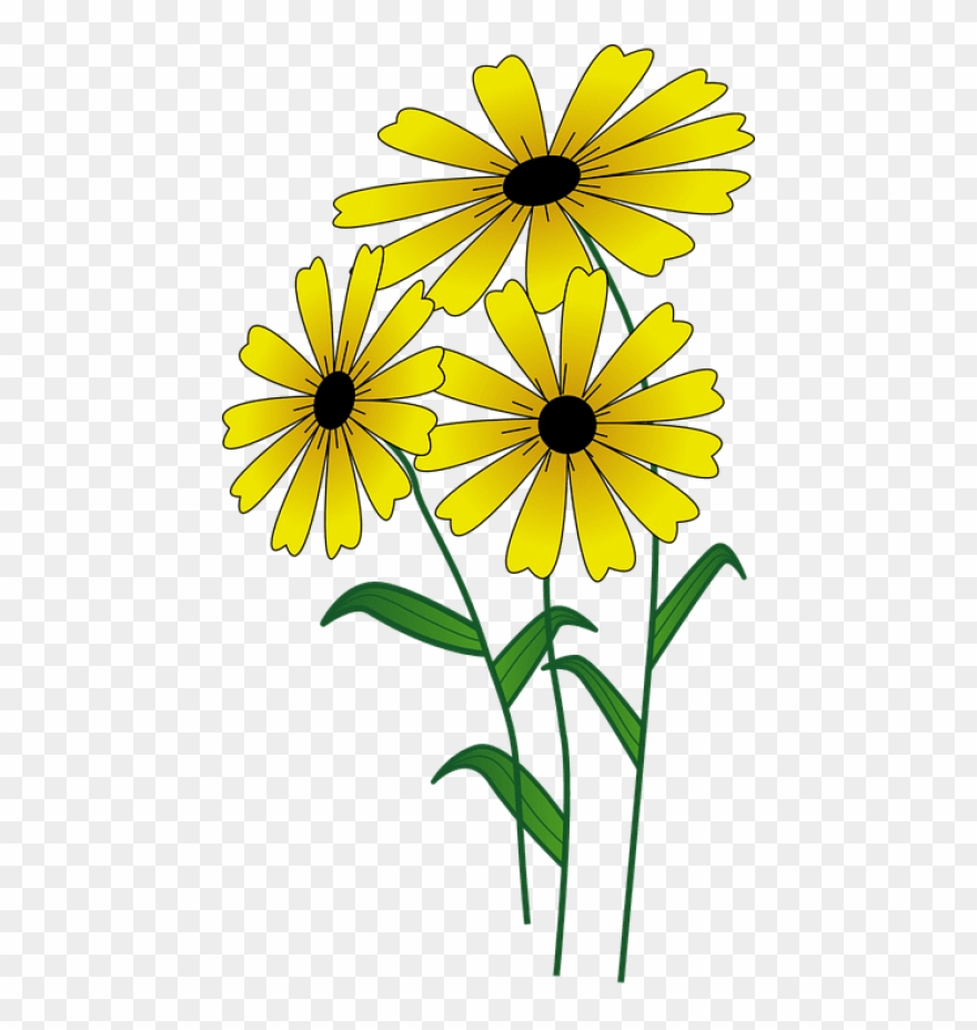 Free Png Download Yellow Flower3, - Simple Flowers Drawing Outlines Clipart