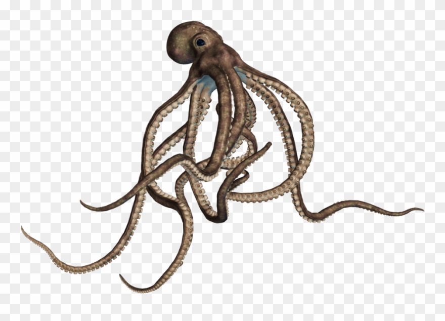 Tentacle Monster Alpha Png - Octopus Png Clipart