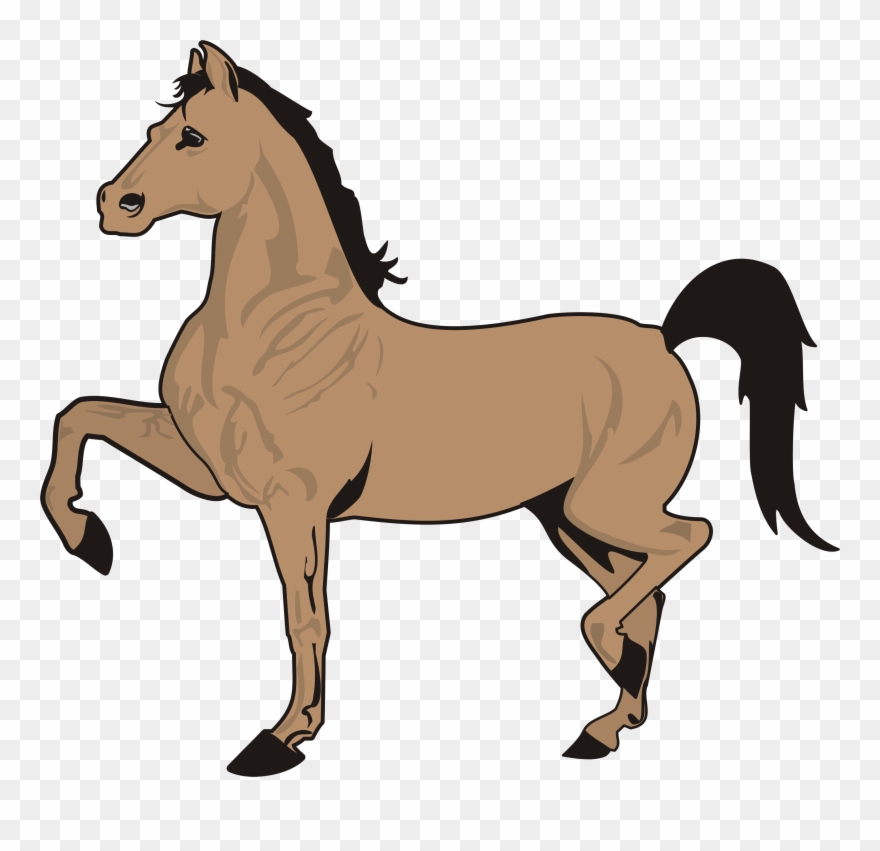 Running Horse Clip Art Black And White - Horse Pics Cartoon Hd - Png Download