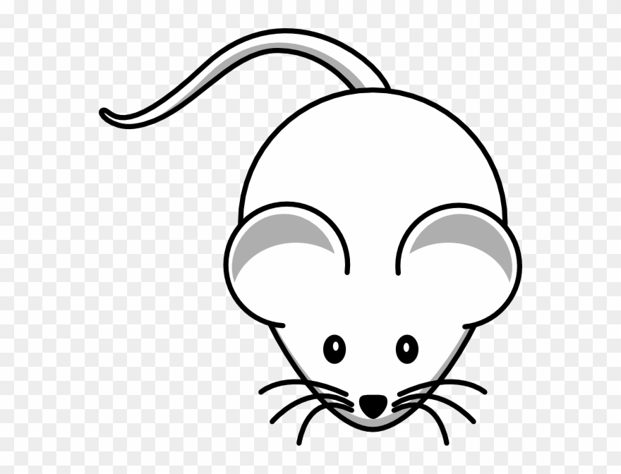 Cartoon Mouse Clipart