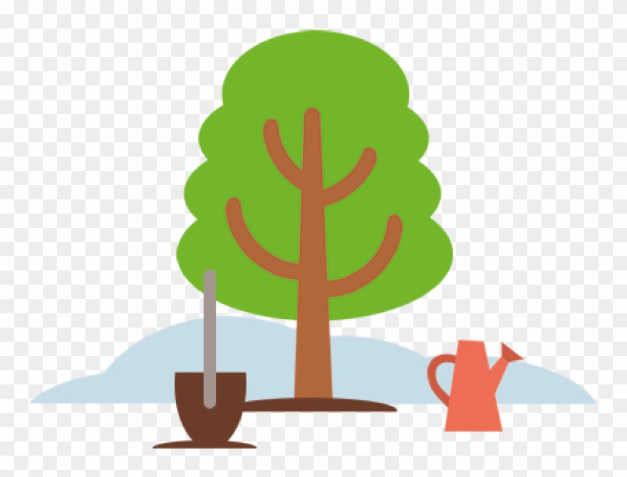 Buchen - Illustration Clipart