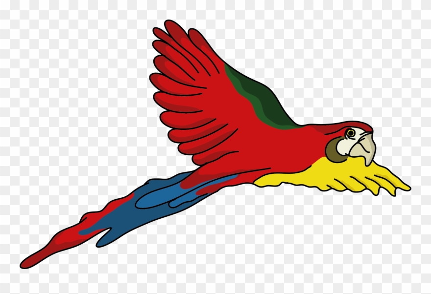 Papağan - Papagei Schwarz Weiß Comic Clipart