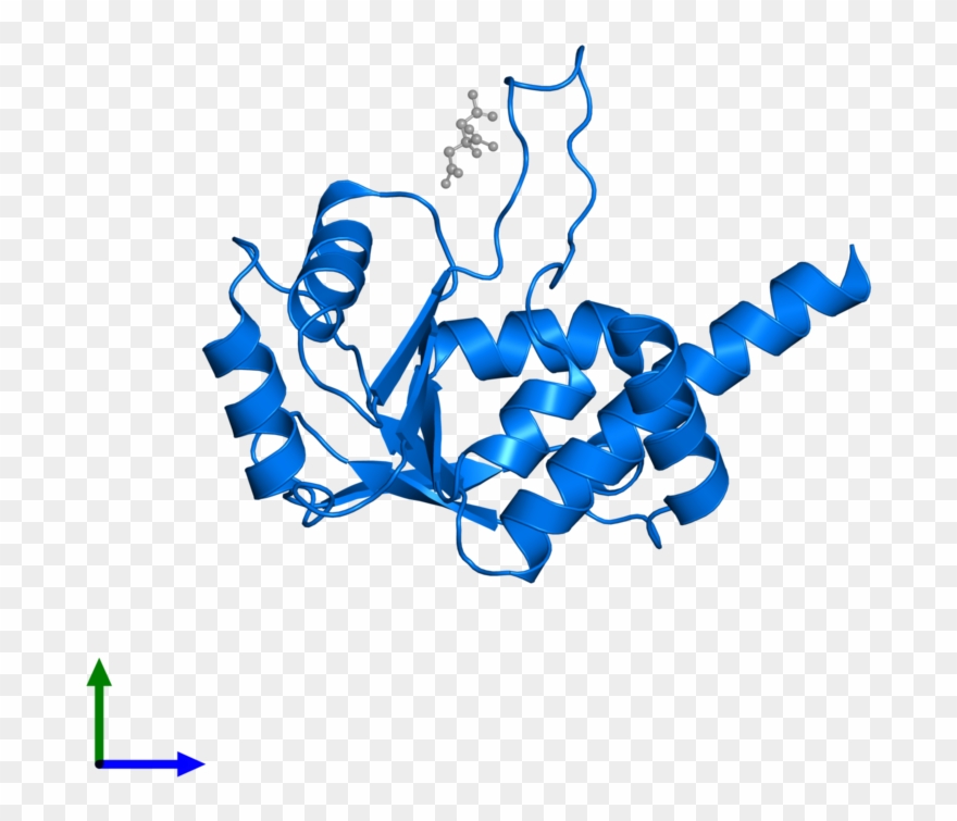 <div Class='caption-body'>pdb Entry 1dmg Contains 1 - Graphic Design Clipart