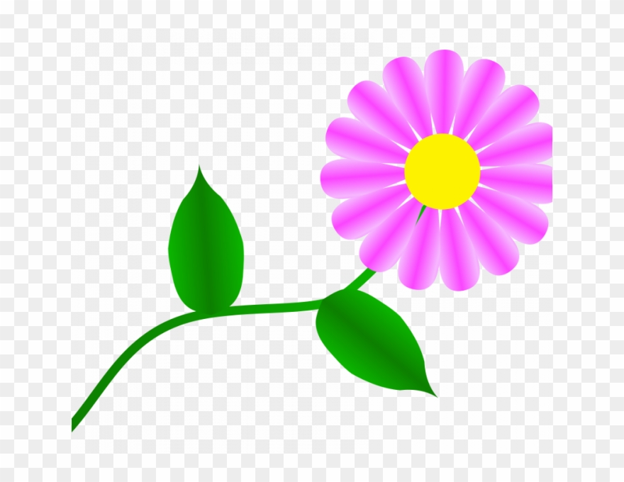 Daisy Images Free Free Free Daisy Images Download Free - Gerber Daisy Clip Art - Png Download