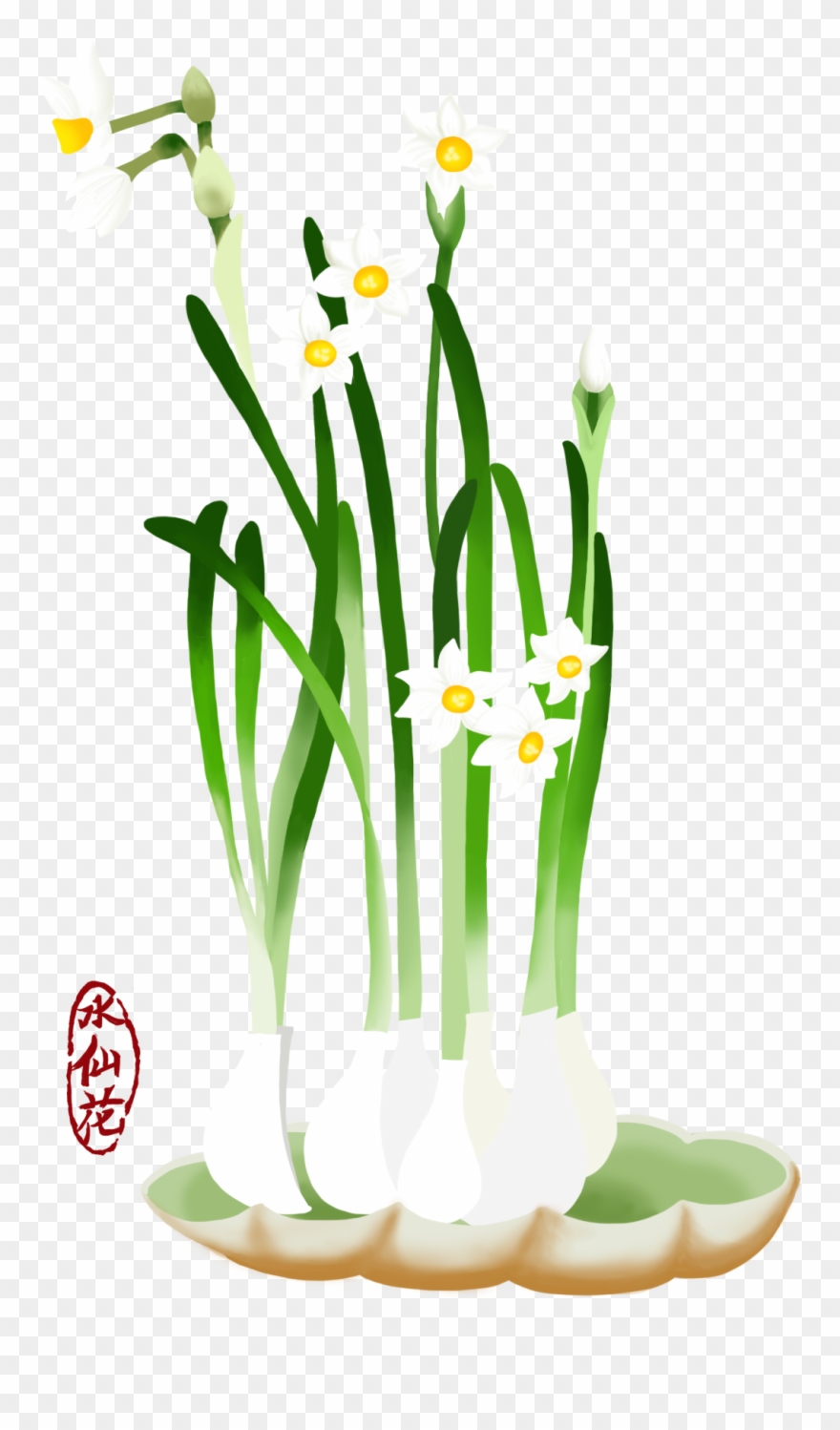Blume Hand Gezeichnet Narzisse Pflanze Png Und Psd - Iris Clipart