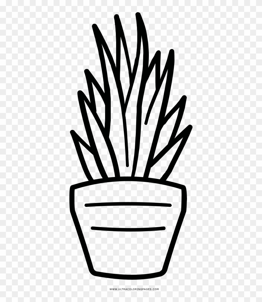 Pflanze Ausmalbilder - Line Art Clipart