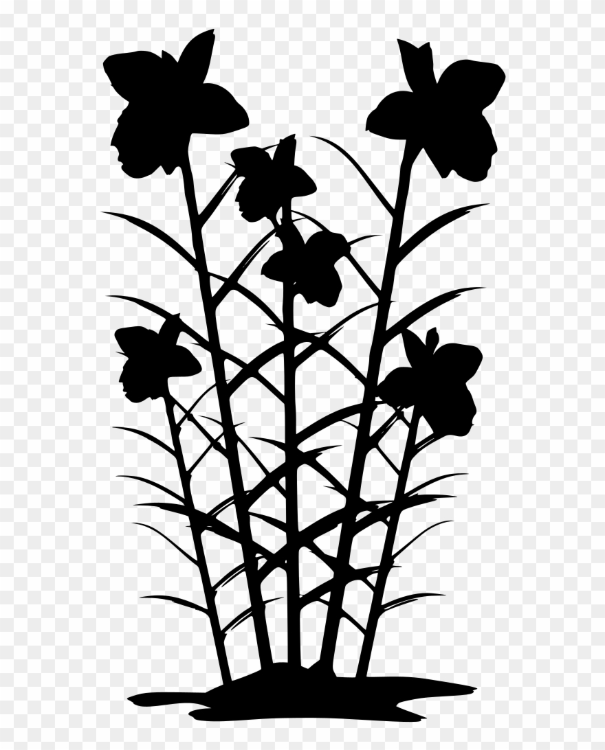 Download Png - Clip Art ดอกไม้ Transparent Png