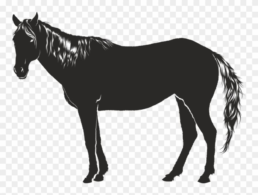Pferd, Schwarz, Tier, Kontur, - Cavalo Sombra Clipart