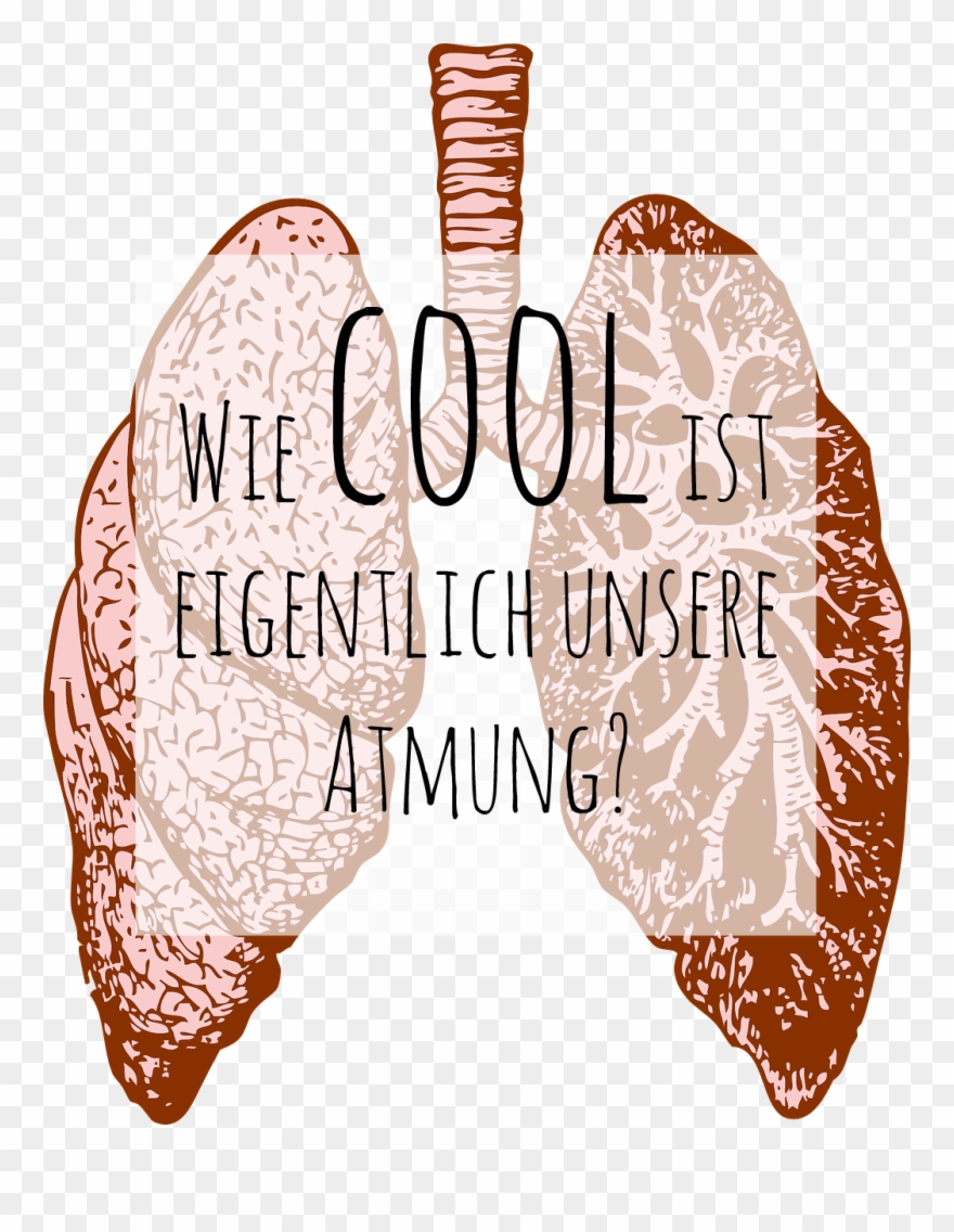 Datei - Lunge - Lung Cancer Images Drawing Clipart