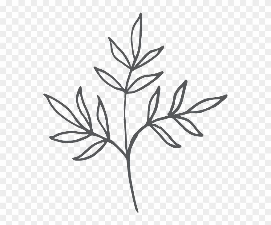 Overall The Two Days Were So Full, Funny And Interesting - Floral Design Clipart