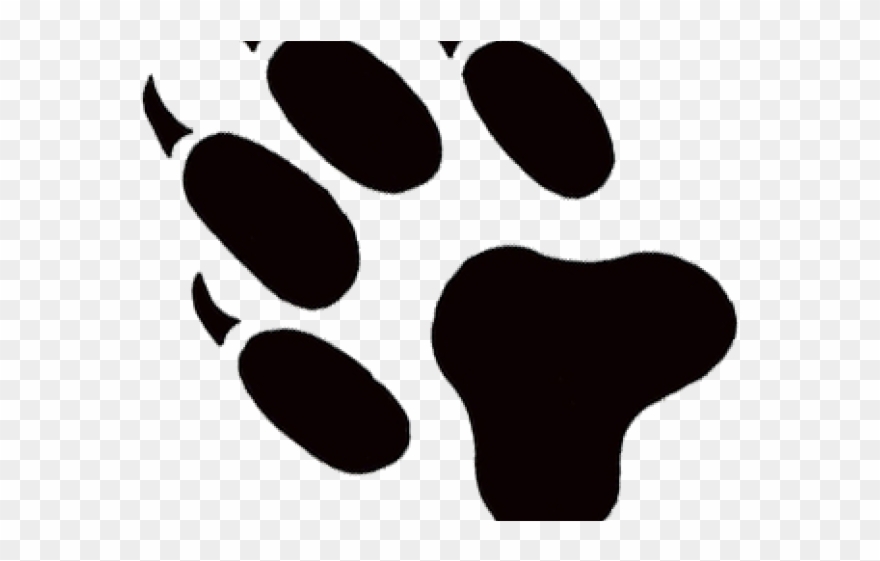 Bobcat Clipart Pawprint - Illustration - Png Download