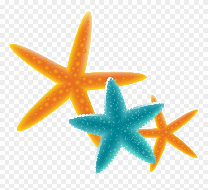 Starfish Free Content Clip Art - Starfish - Png Download