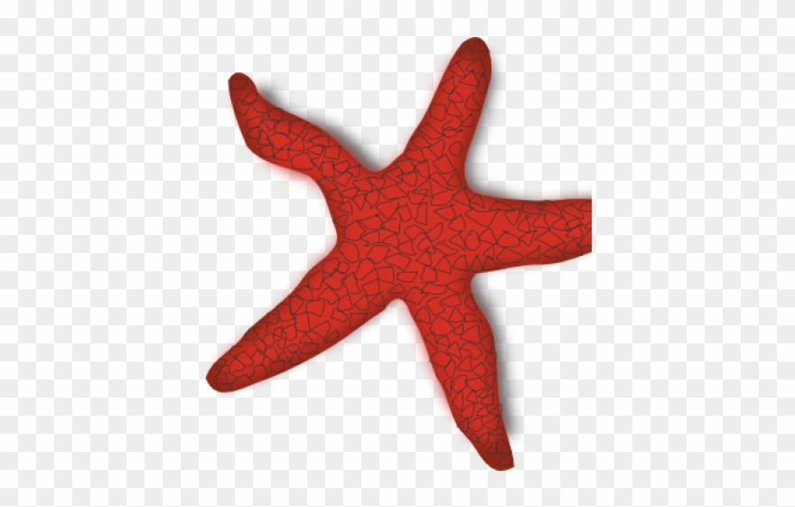 Starfish Clipart Craft - Starfish Clip Art - Png Download