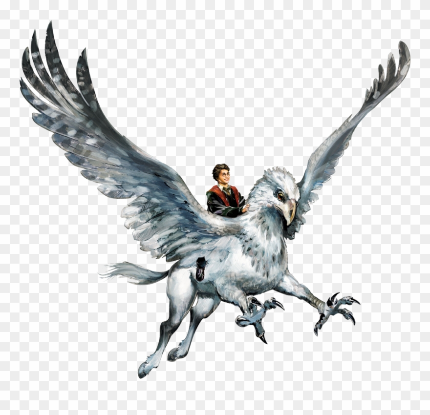Hyppogriff Clipart Harry Potter Hippogriff - Harry Potter Buckbeak Png Transparent Png