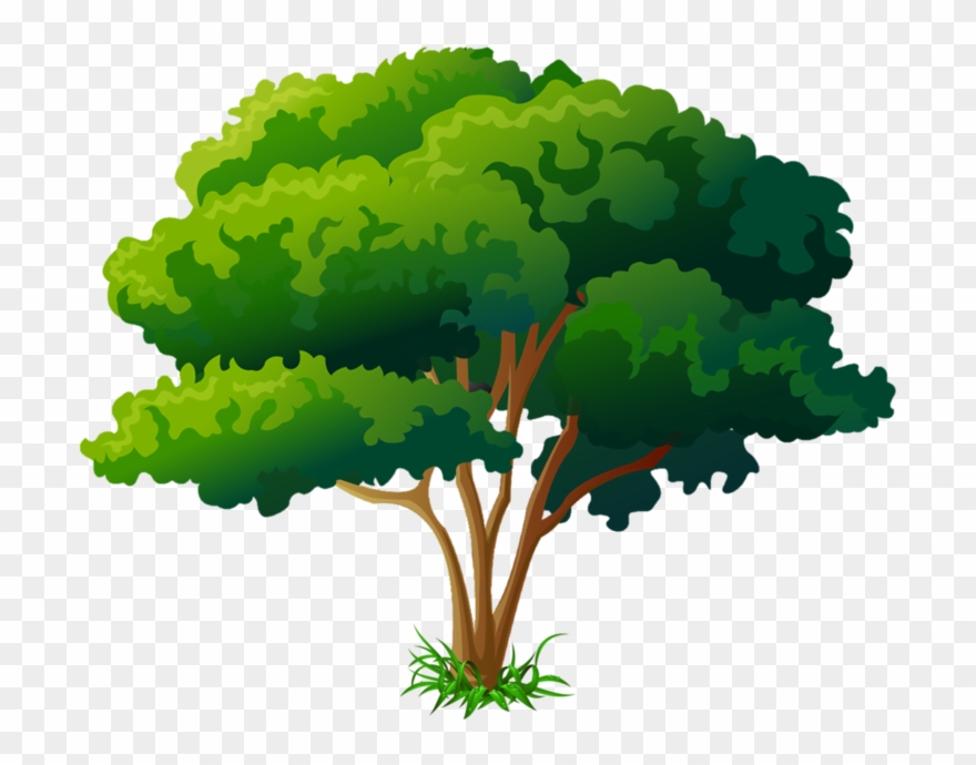 Arbre Png Christmas Newsletter Newsletter Newsletter - Chiste Del Perro Lobo Y Oso Hormiguero Clipart