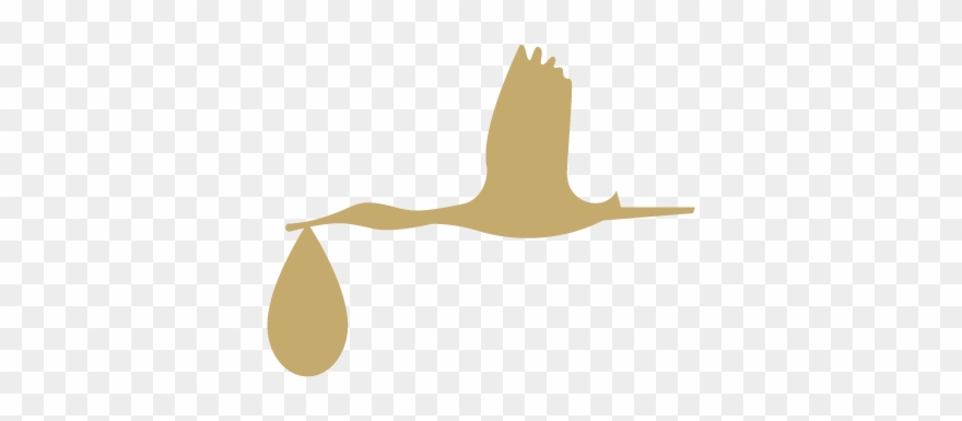 Preparing For Labour - Illustration Clipart