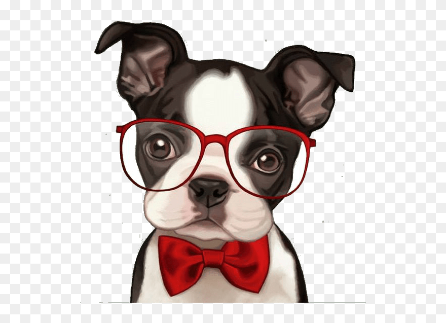Illustrations Animalières, Illustration Art, Diy Glasses, - Boston Terrier Clipart Png Transparent Png