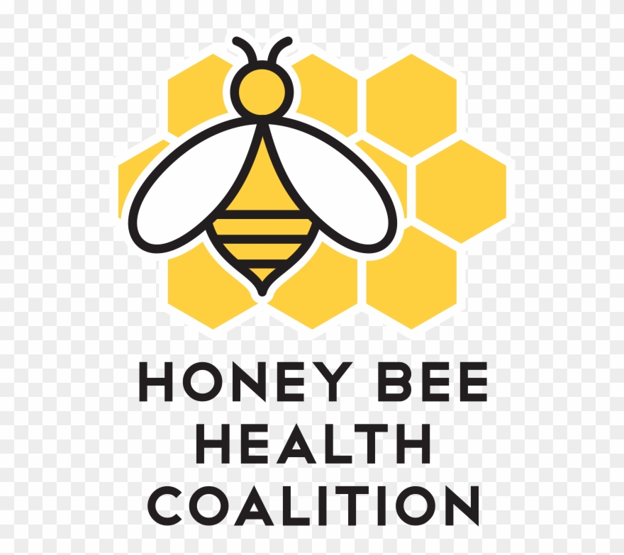 604 X 723 6 - Honey Bee Logo Png Clipart