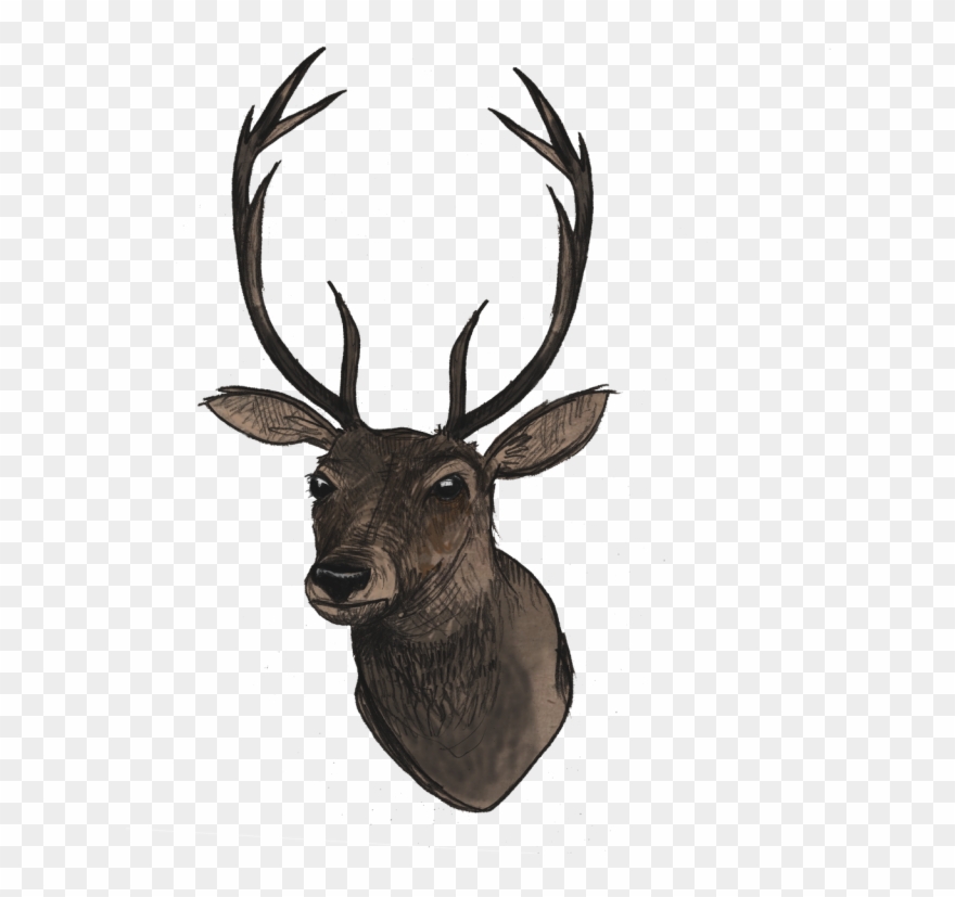 51 Deer Png Images With Transparent Background Free - Deer Head Transparent Clipart