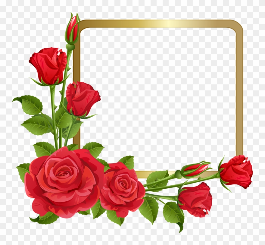 Фото, Автор Bzikolya На Яндекс - Rose Page Border Designs Clipart